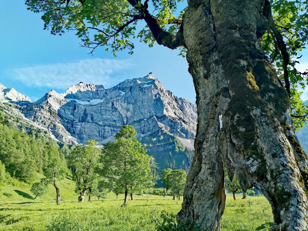 Top - Österreich Sehenswürdigkeiten in der Natur: Großer Ahornboden in Tirol