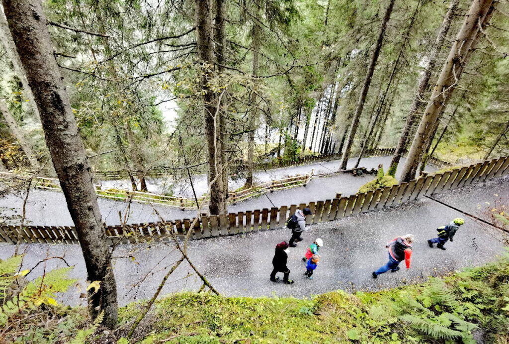 Auf dem breiten Wanderweg geht bei den Krimmler Wasserfällen hinauf