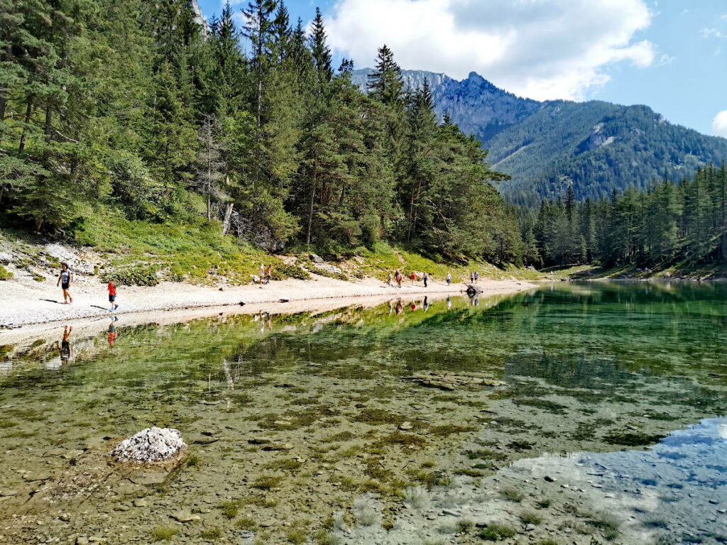 Österreich Seen de Luxe - die leichte Wanderung um den Grünen See, mit Blick zum Hochschwab