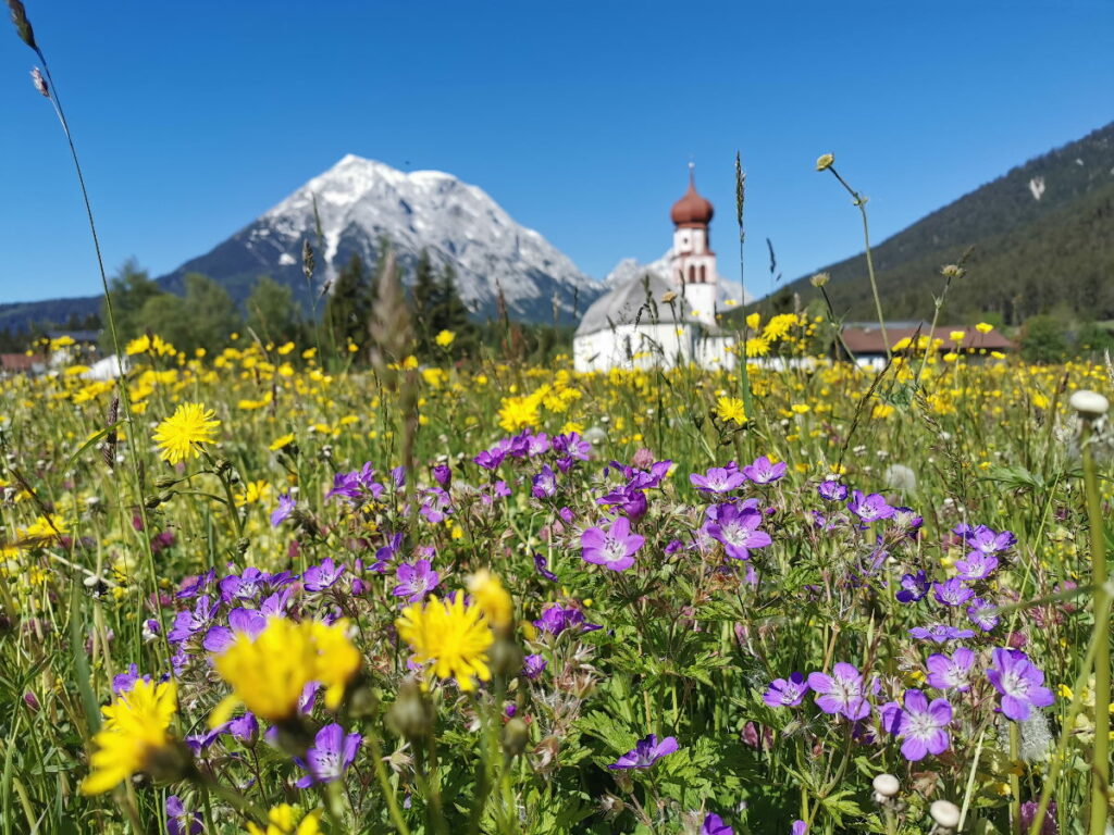 Im Österreich Urlaub aus der blumenreichen Leutasch zur Wettersteinhütte