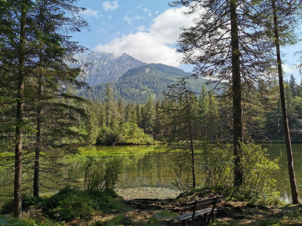 Viel Natur findest du in deinem Steiermark Urlaub in Österreich