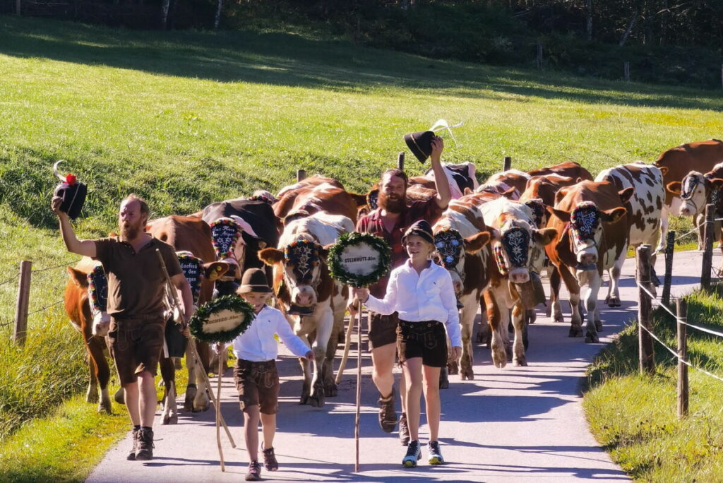 Kelchsau Almabtrieb - ein riesiges Fest im Herbst, wenn rund 3500 Kühe von der Alm zurück ins Tal ziehen