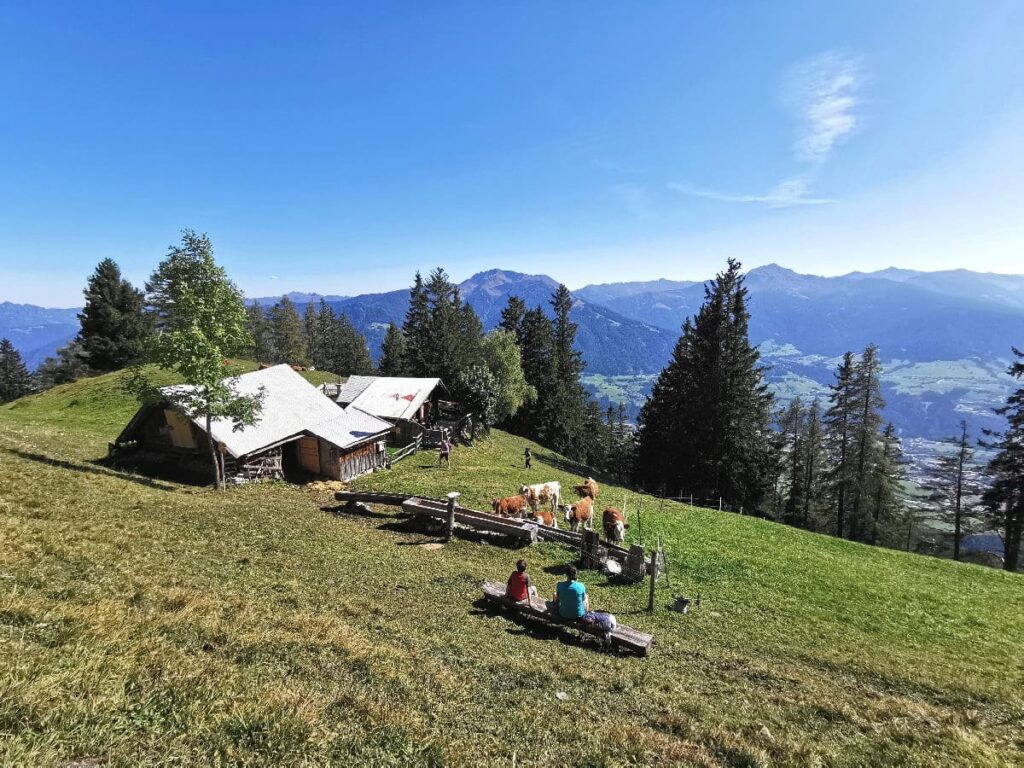 Österreich Geheimtipp Waldhorbalm in Tirol